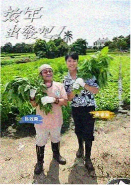 动漫嘉年华